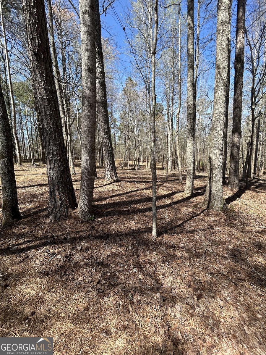 6565 Phillips Mill Road Douglasville - Photo 47