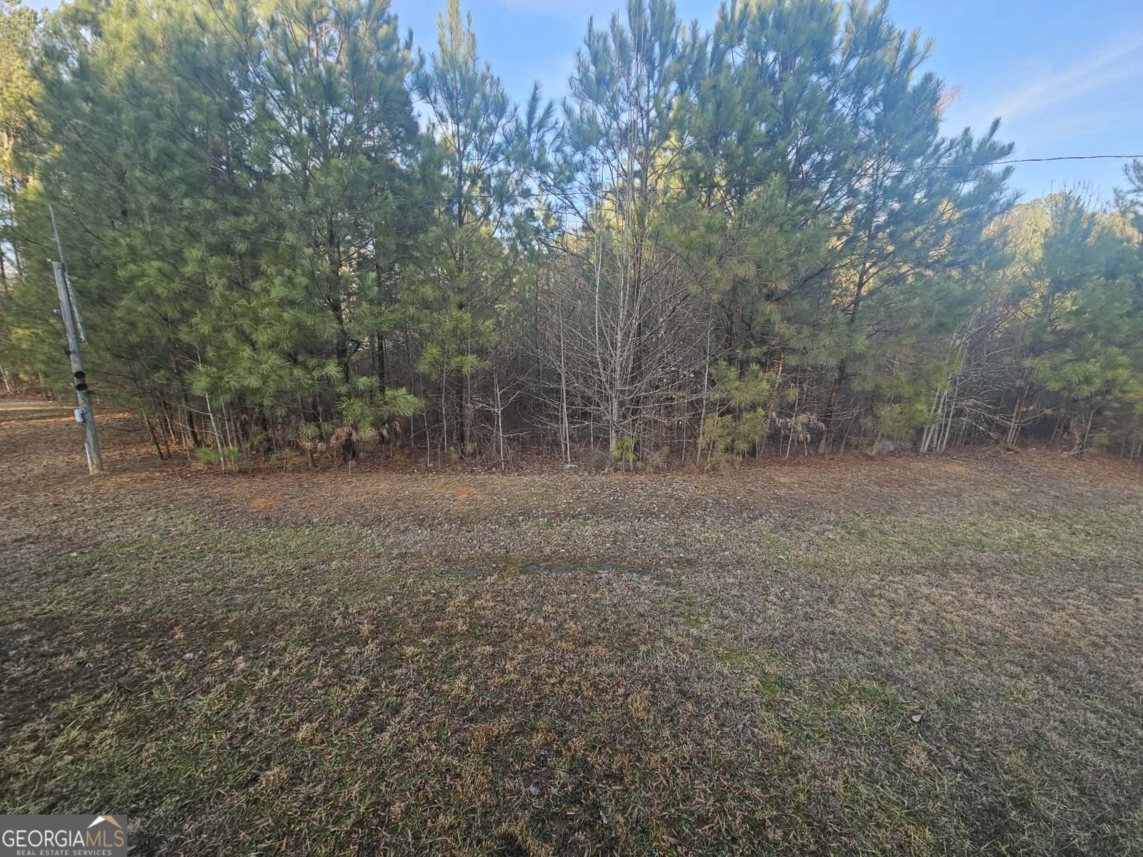 873 Point Road Cedartown - Photo 10