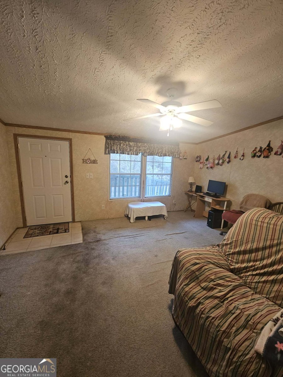 873 Point Road Cedartown - Photo 11