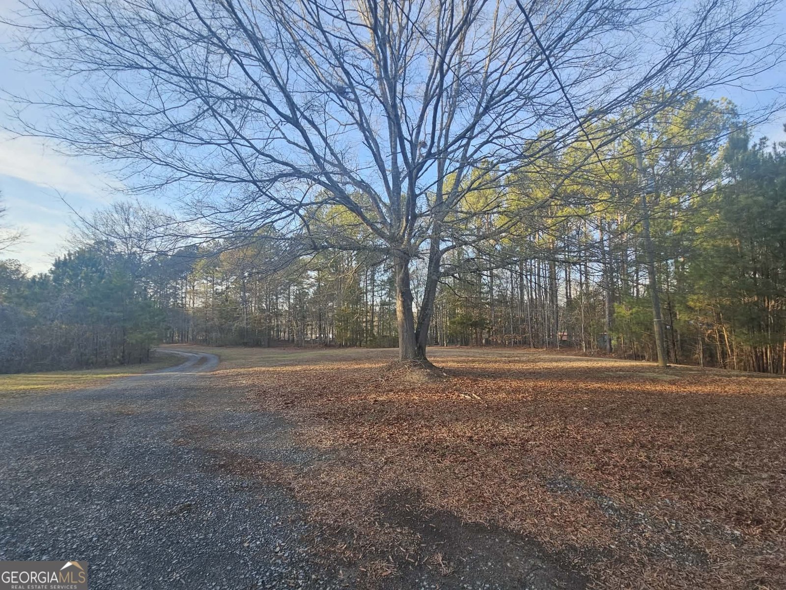 873 Point Road Cedartown - Photo 7