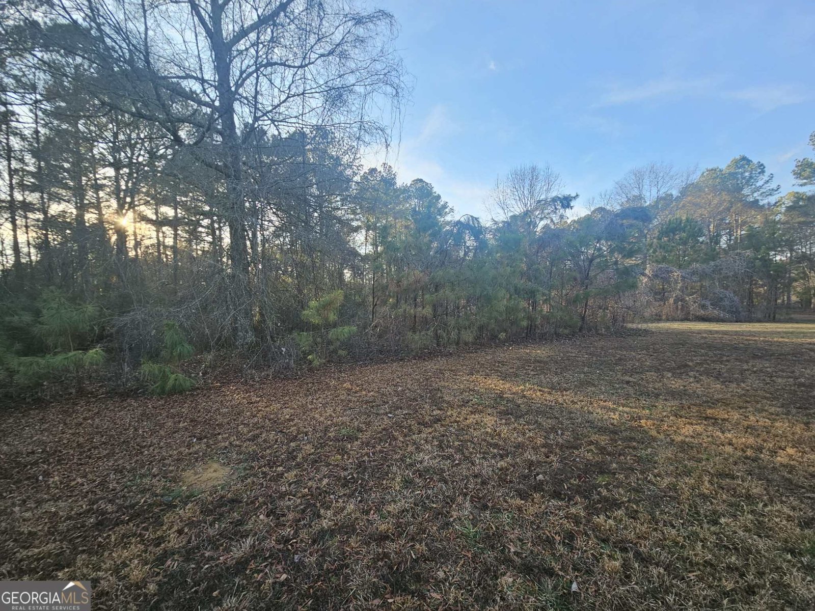 873 Point Road Cedartown - Photo 9