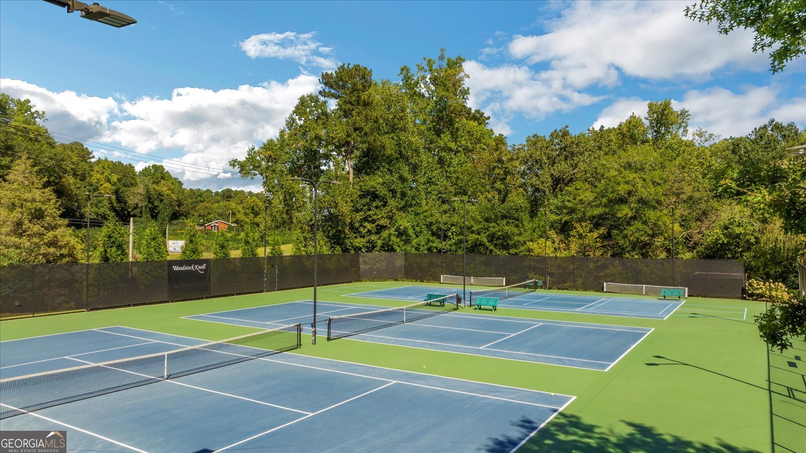 340 Spotted Ridge Circle Woodstock - Photo 46