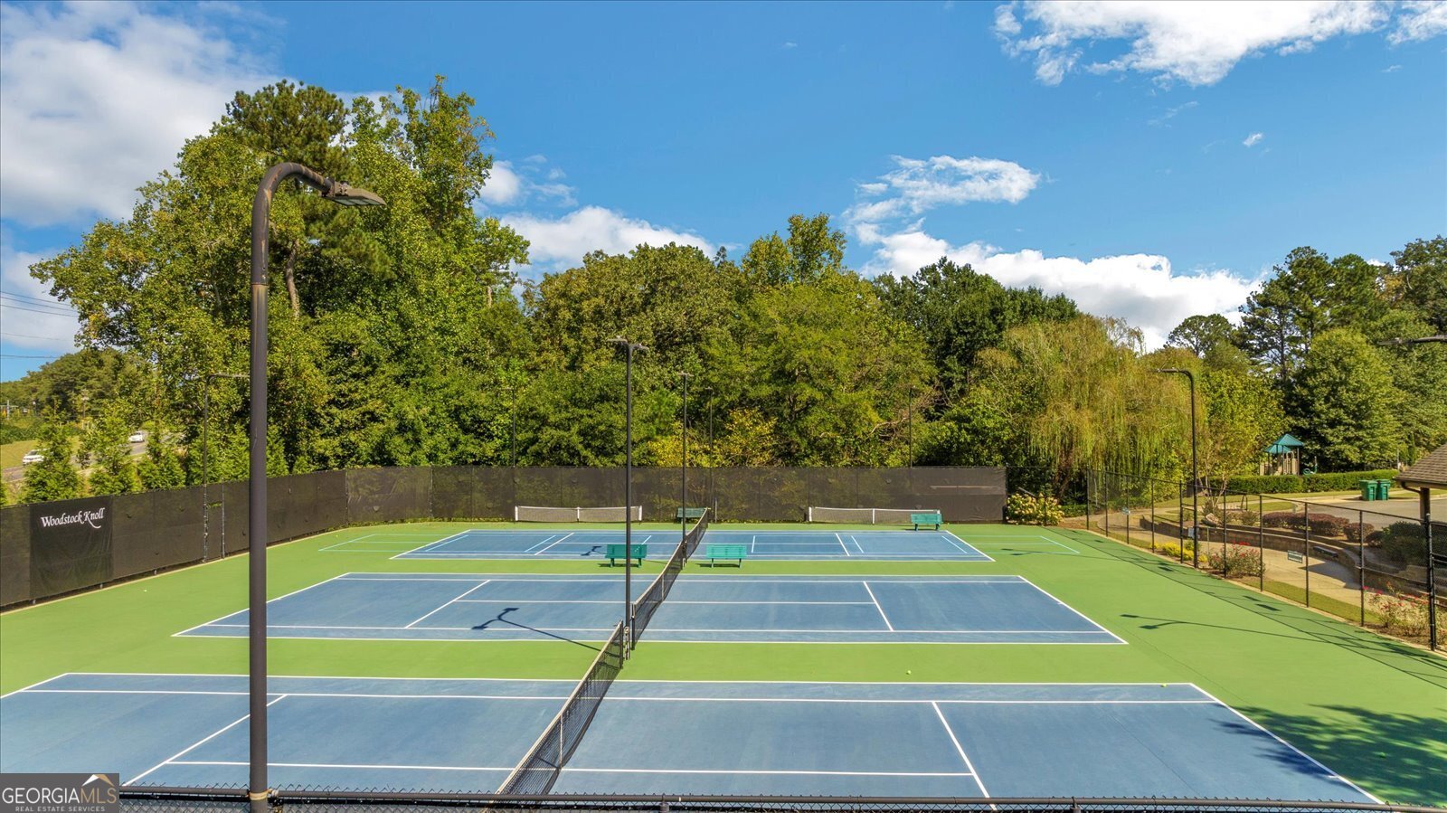 340 Spotted Ridge Circle Woodstock - Photo 47