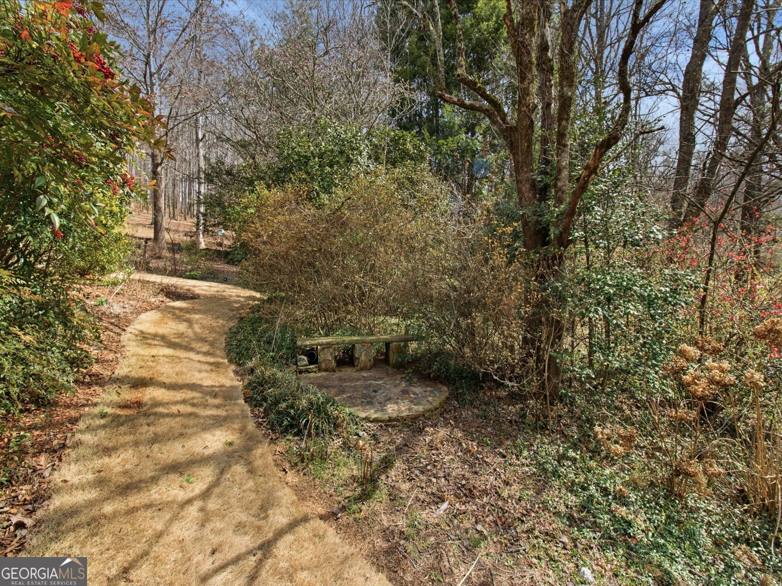 543 Martins Grove Road Dahlonega - Photo 35