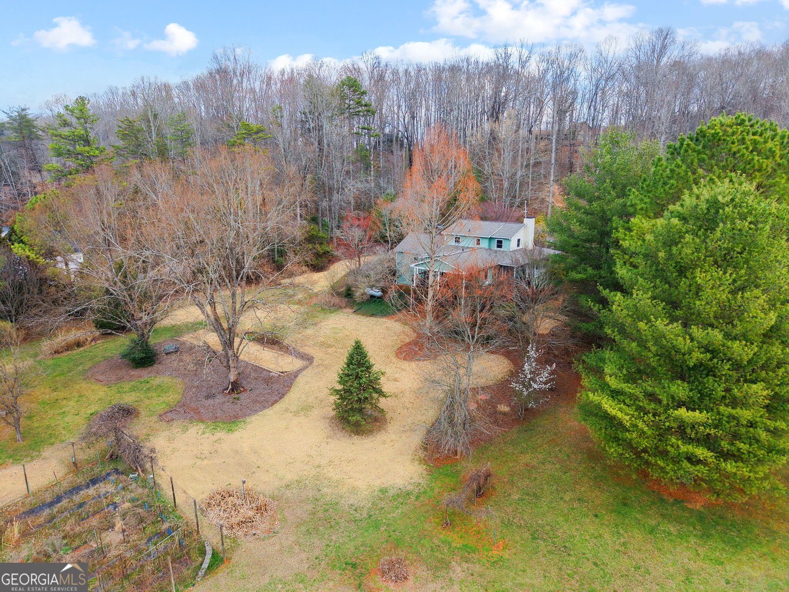 543 Martins Grove Road Dahlonega - Photo 36