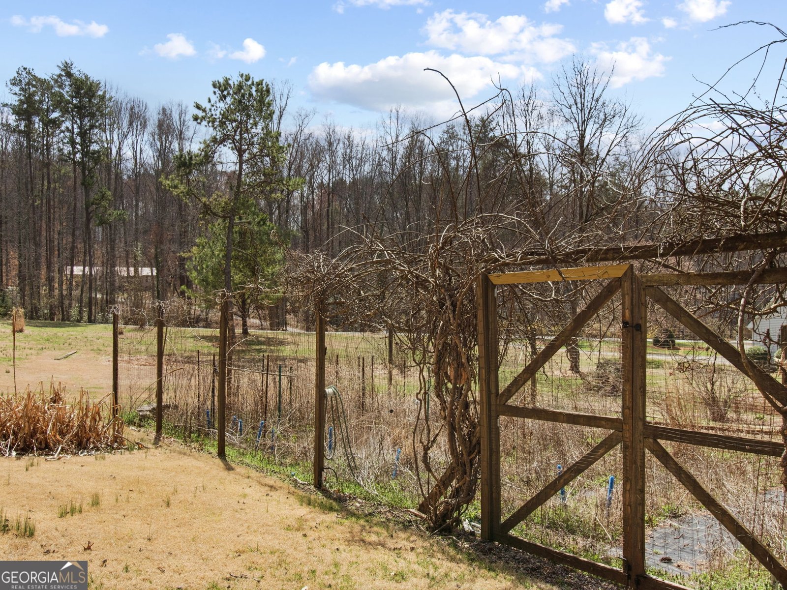 543 Martins Grove Road Dahlonega - Photo 44