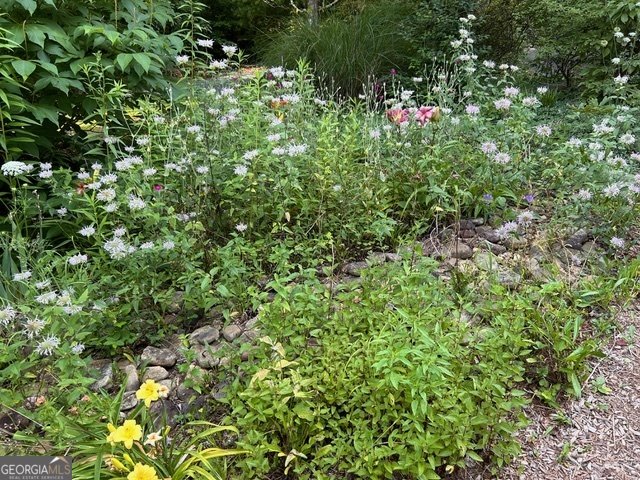 543 Martins Grove Road Dahlonega - Photo 46