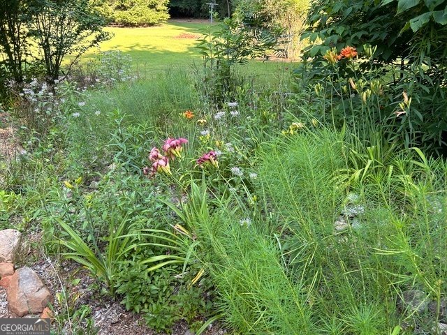 543 Martins Grove Road Dahlonega - Photo 48