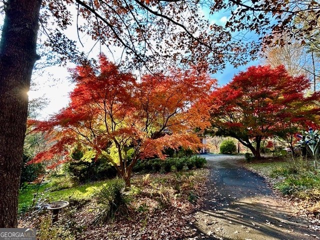 543 Martins Grove Road Dahlonega - Photo 49