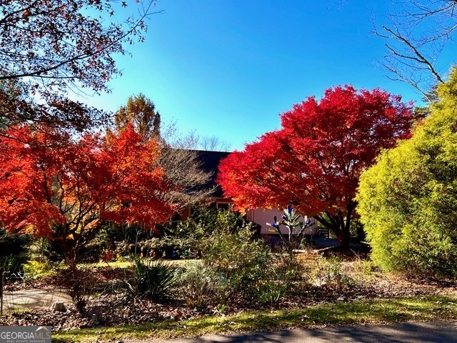 543 Martins Grove Road Dahlonega - Photo 50