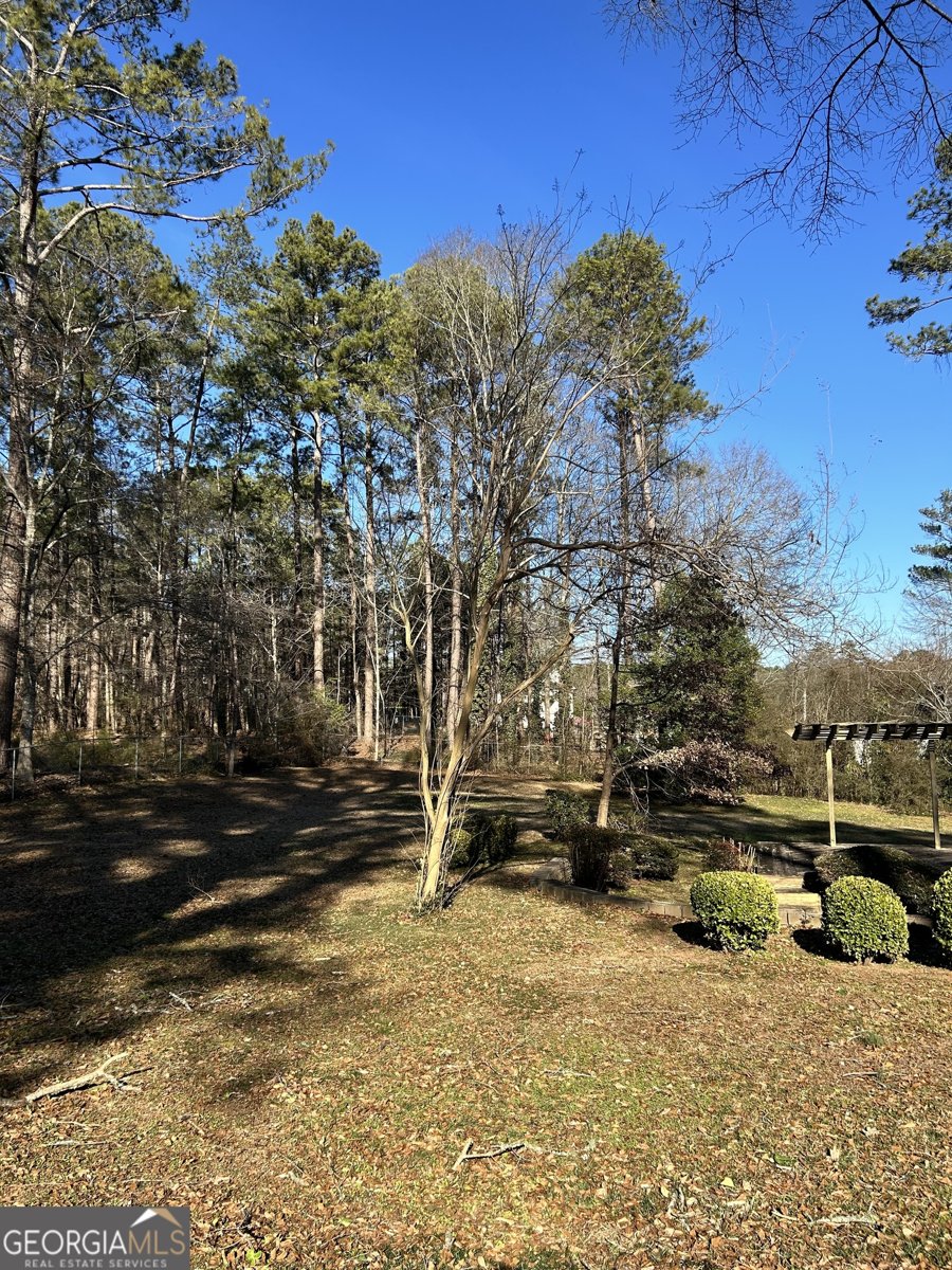 1125 Atlanta Road Stockbridge - Photo 9