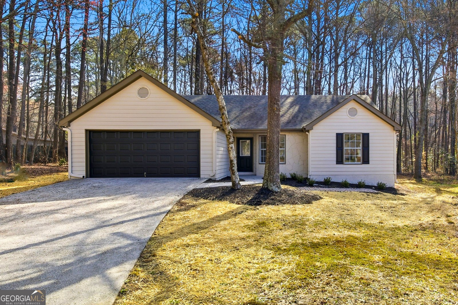 3050 Dove Chase Court Snellville - Photo 1