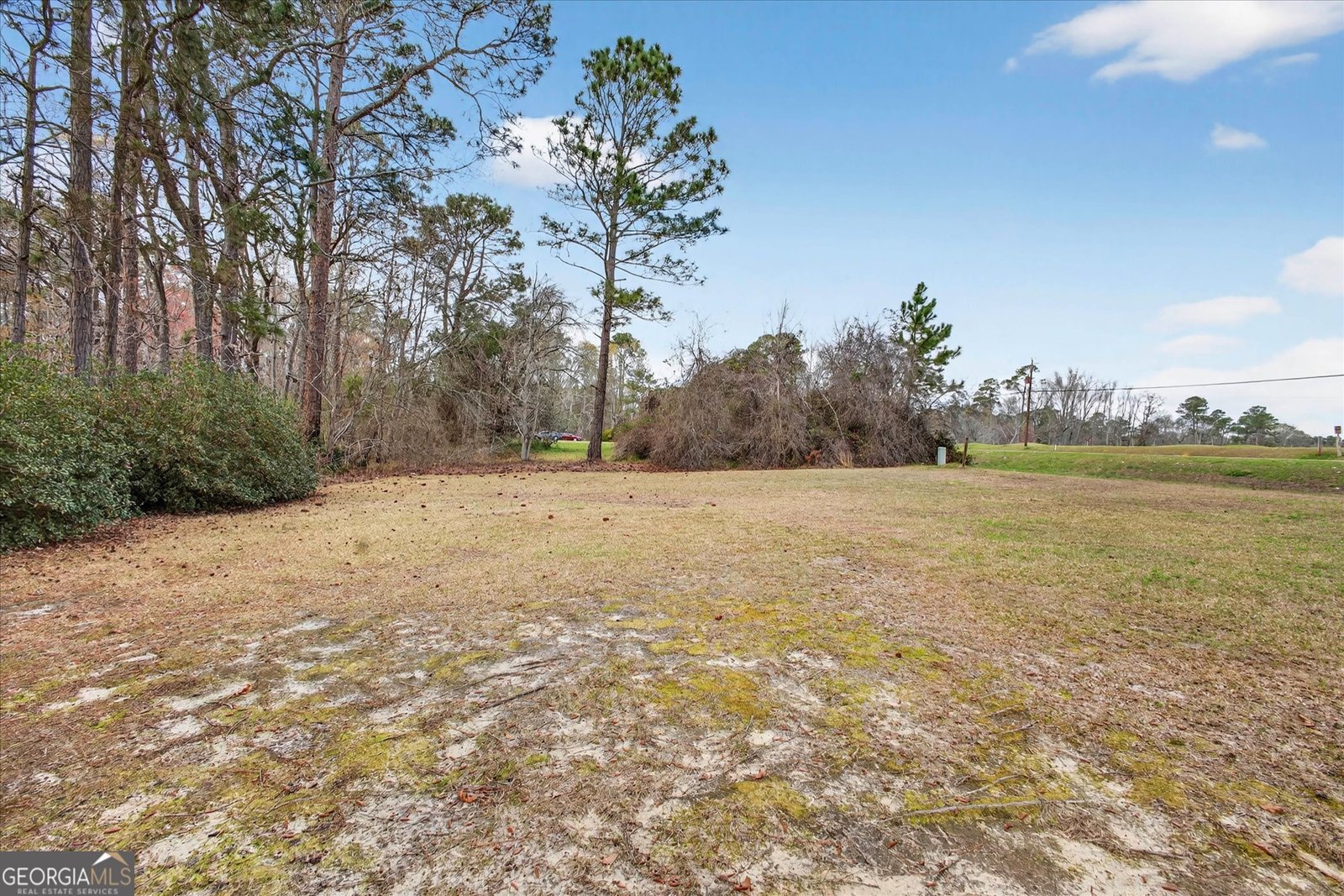 1005 Cedar Street Metter - Photo 40