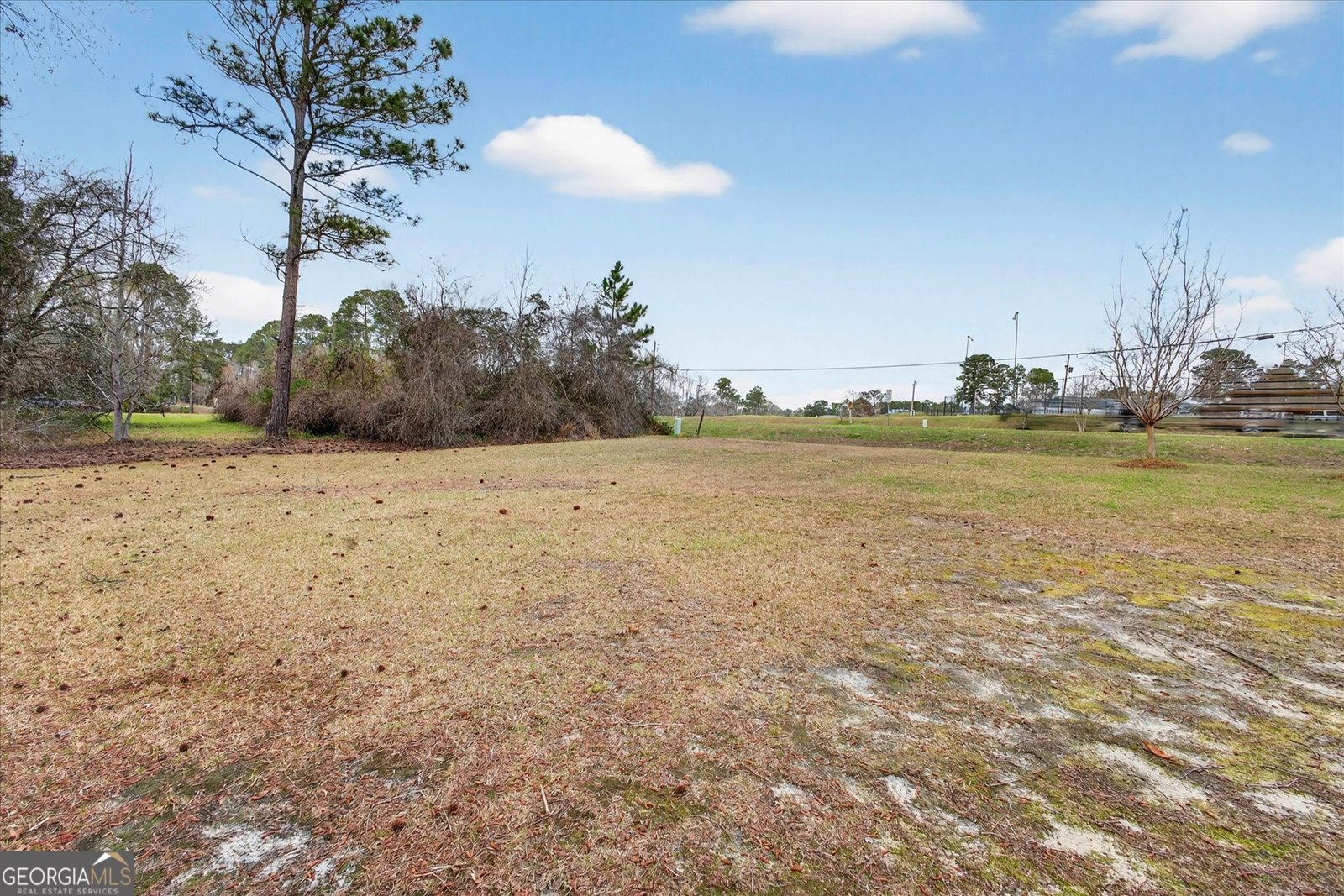 1005 Cedar Street Metter - Photo 41