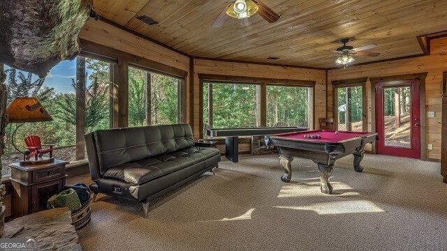 348 Lookout Trail Mineral Bluff - Photo 28