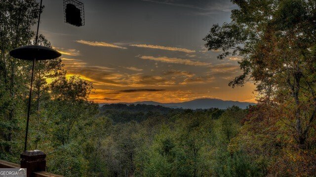 348 Lookout Trail Mineral Bluff - Photo 38