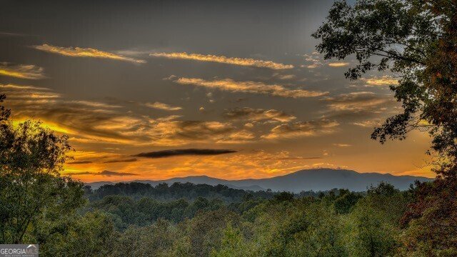 348 Lookout Trail Mineral Bluff - Photo 44