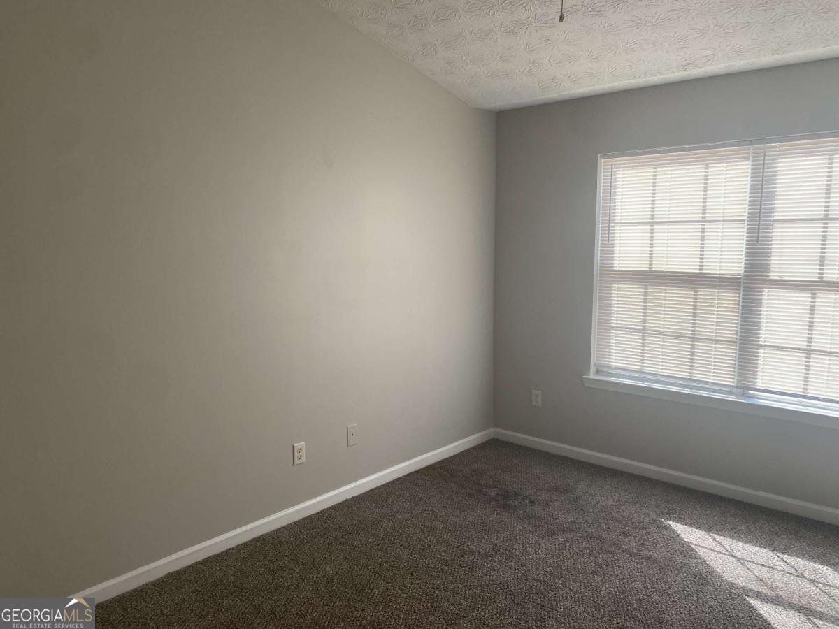 365 Shelton Woods Court Stone Mountain - Photo 1