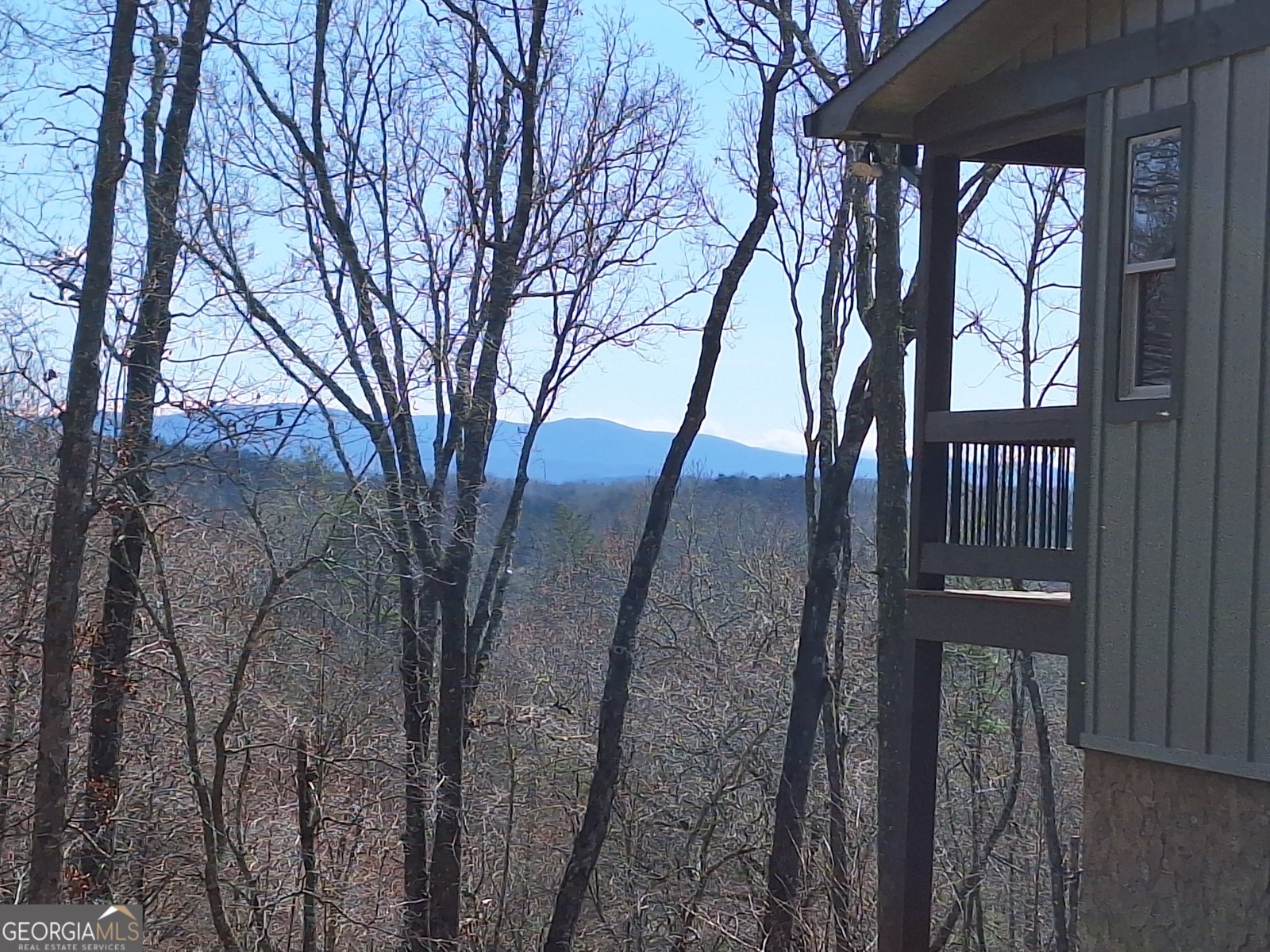 241 Wolf Creek Mountain Road Mineral Bluff - Photo 1