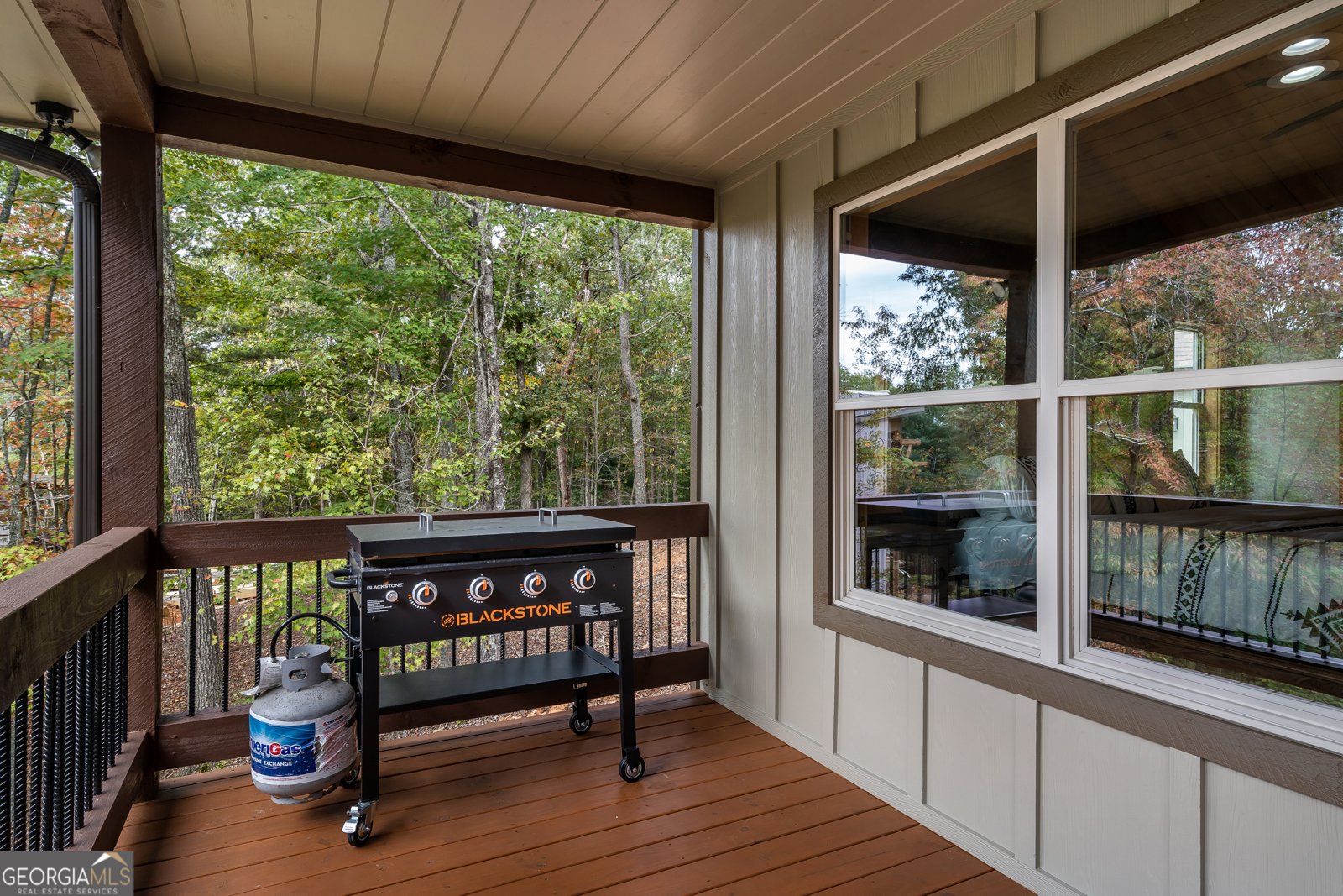 241 Wolf Creek Mountain Road Mineral Bluff - Photo 19