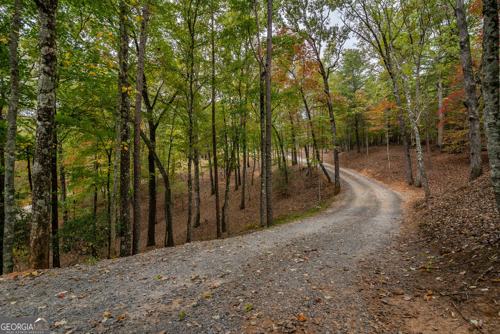 241 Wolf Creek Mountain Road Mineral Bluff - Photo 59