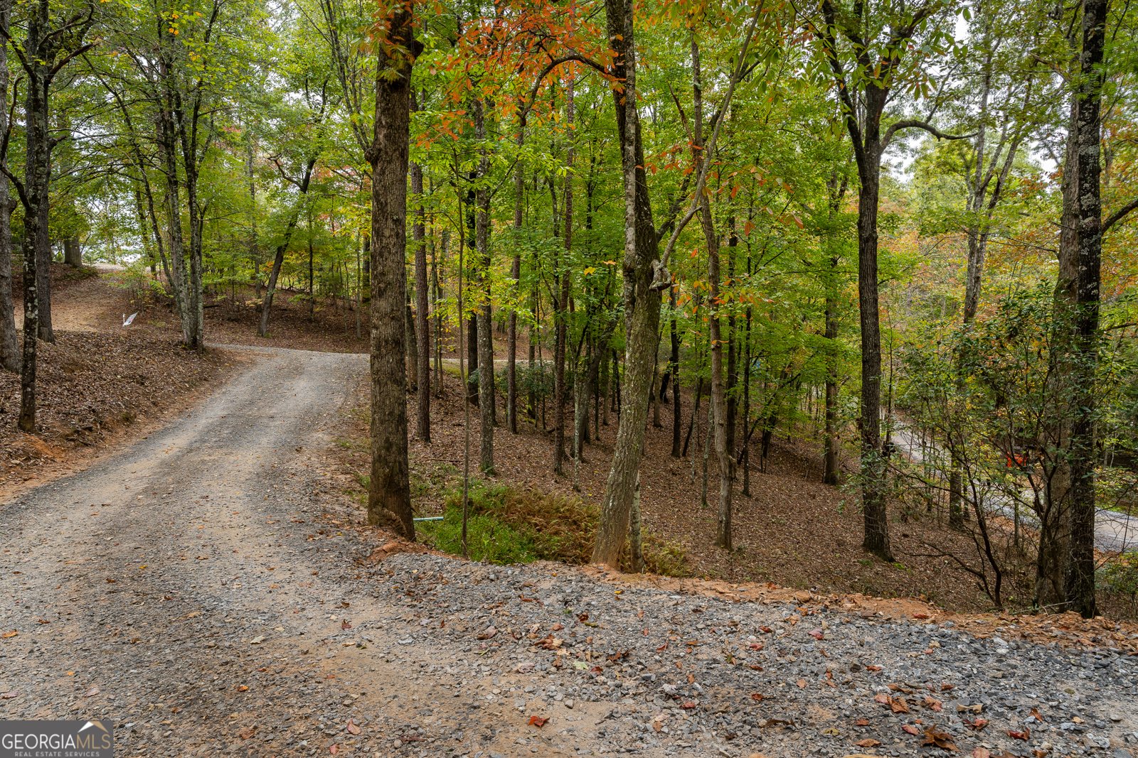 241 Wolf Creek Mountain Road Mineral Bluff - Photo 60