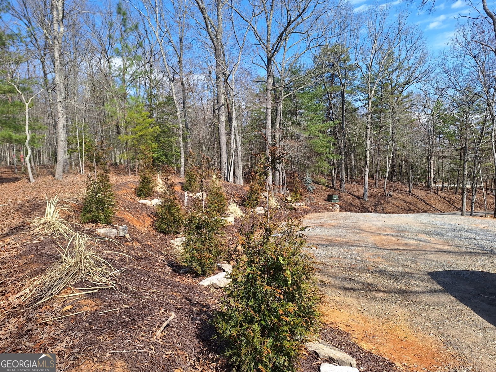 241 Wolf Creek Mountain Road Mineral Bluff - Photo 62