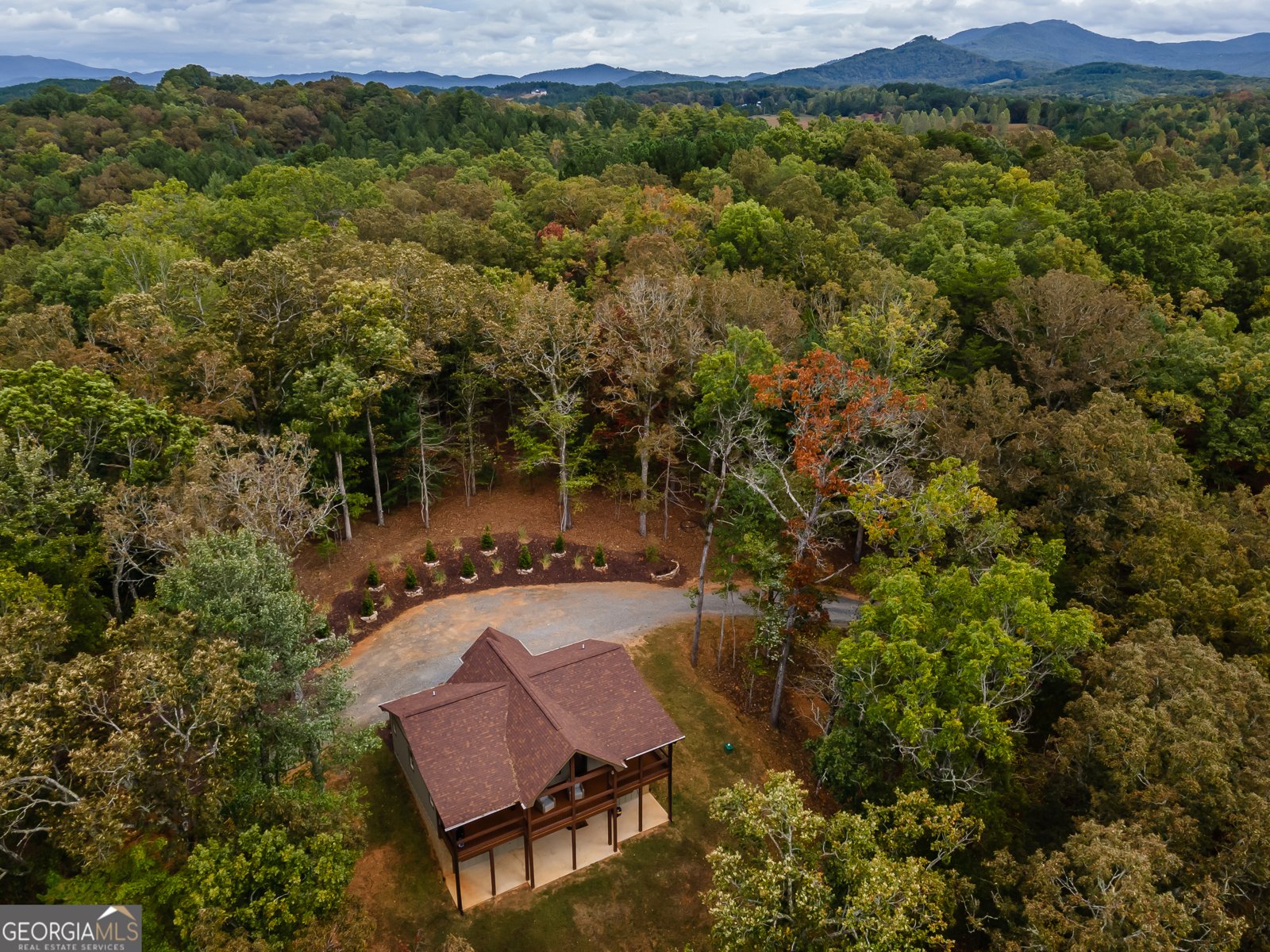 241 Wolf Creek Mountain Road Mineral Bluff - Photo 63