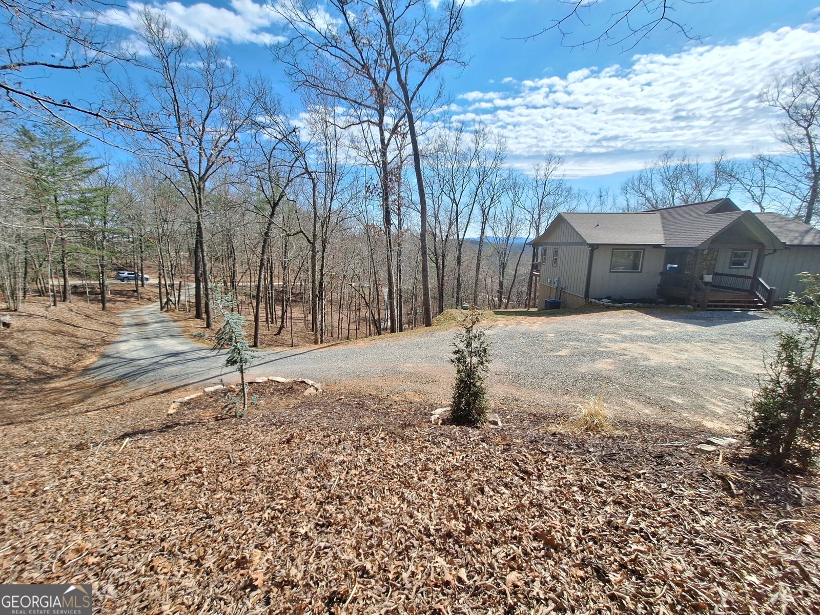 241 Wolf Creek Mountain Road Mineral Bluff - Photo 8