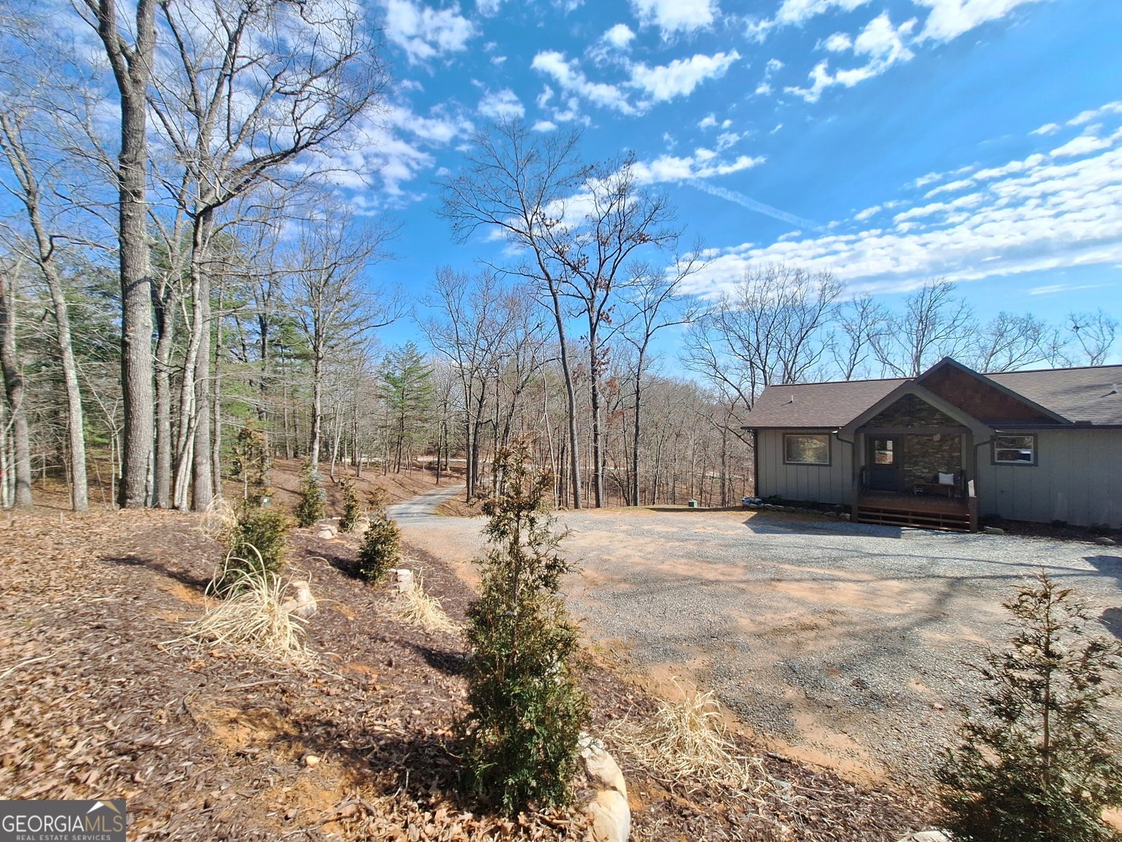 241 Wolf Creek Mountain Road Mineral Bluff - Photo 9