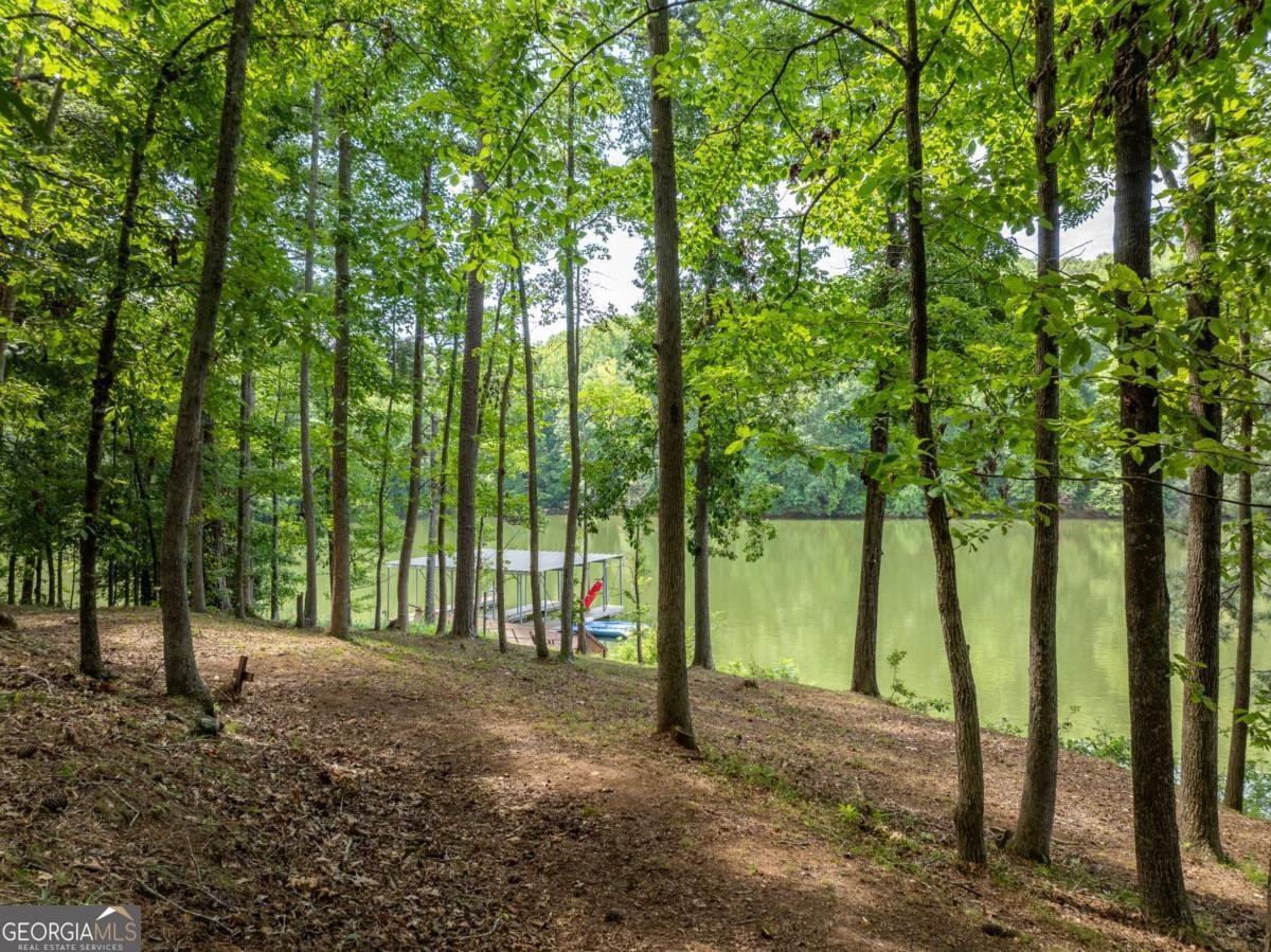 452 Brookwood Drive Dawsonville - Photo 32