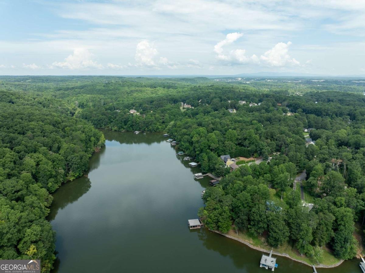 452 Brookwood Drive Dawsonville - Photo 36