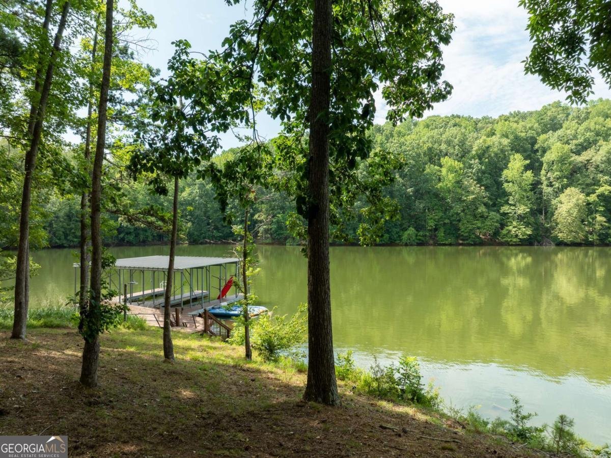 452 Brookwood Drive Dawsonville - Photo 39