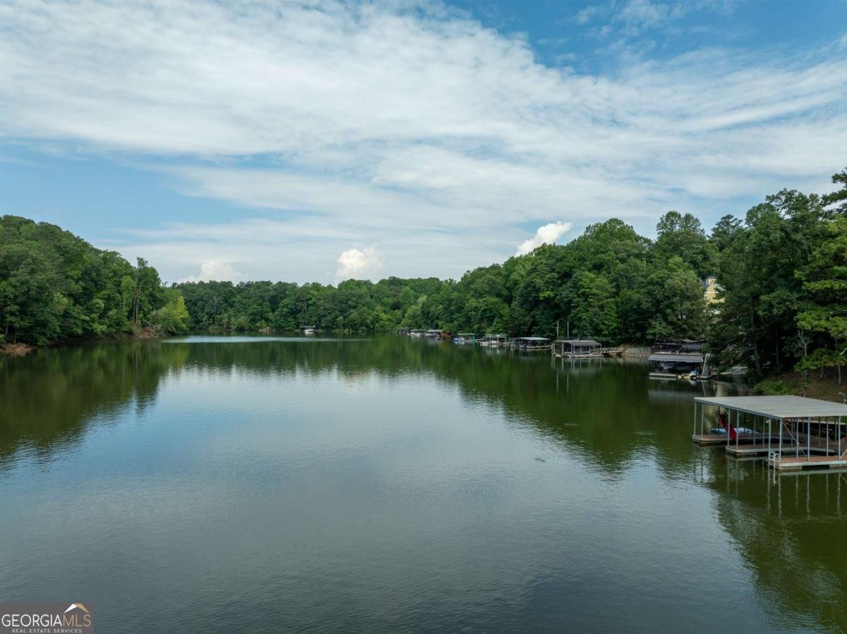 452 Brookwood Drive Dawsonville - Photo 46