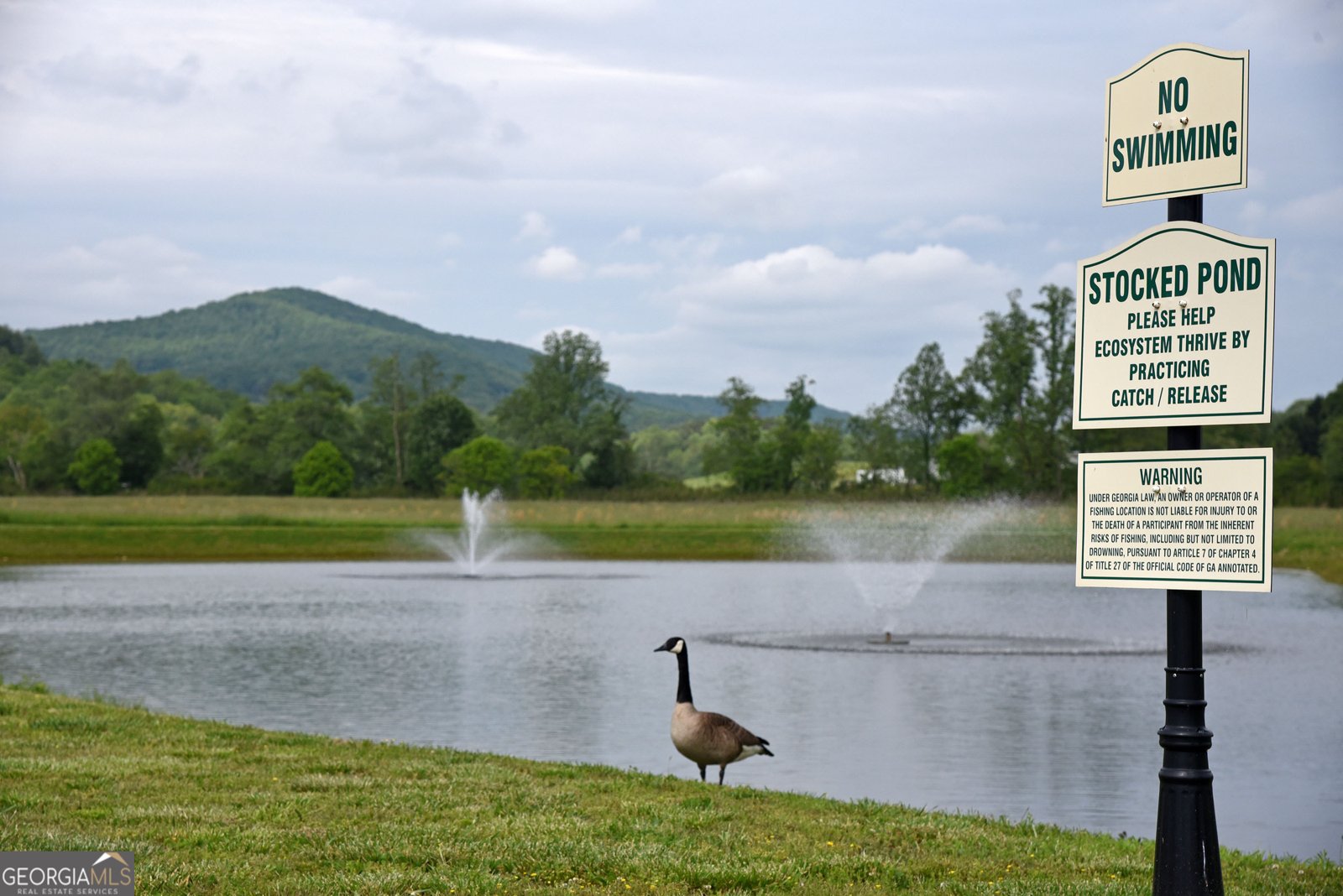 435 Golden Nugget Blairsville - Photo 57