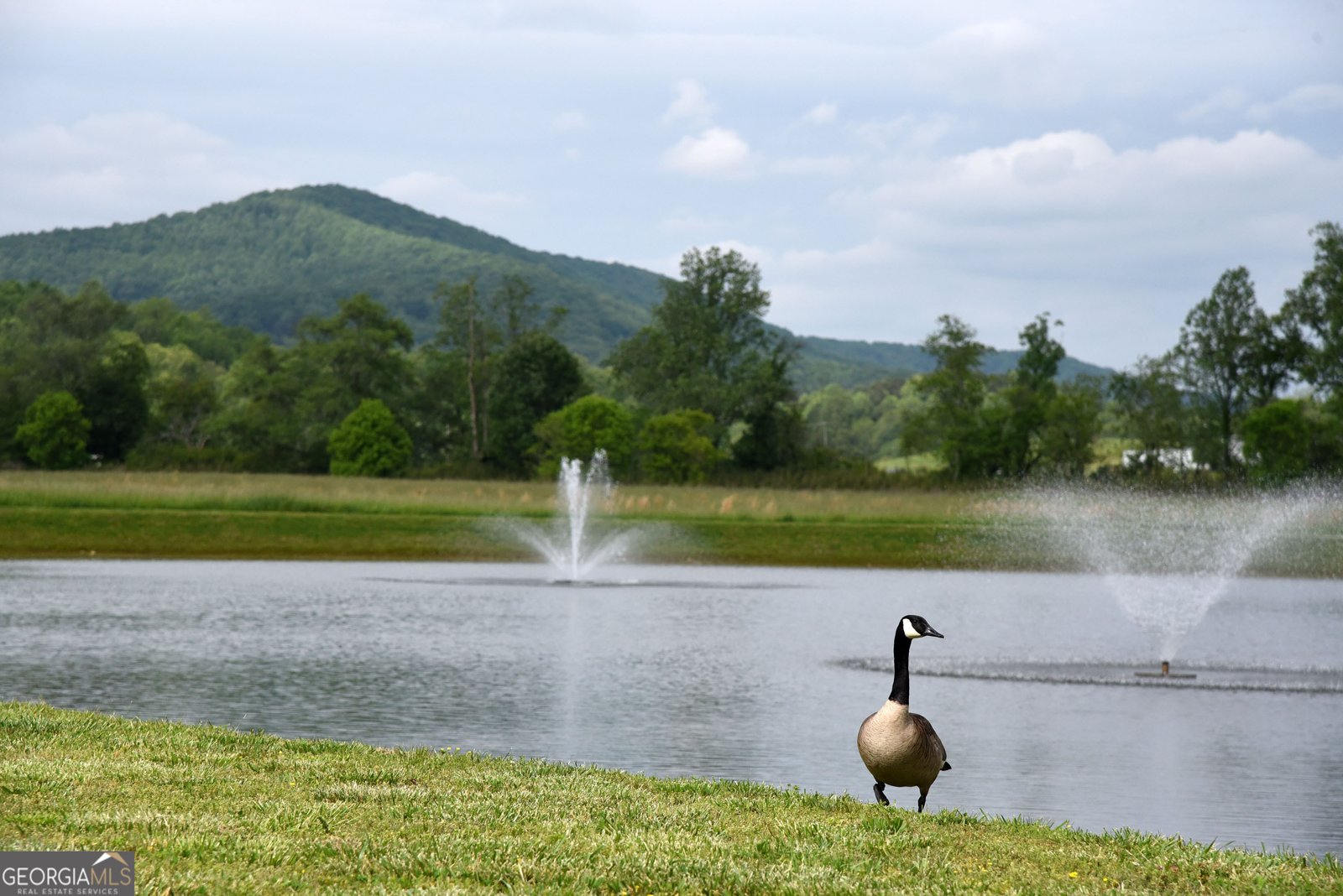 435 Golden Nugget Blairsville - Photo 60