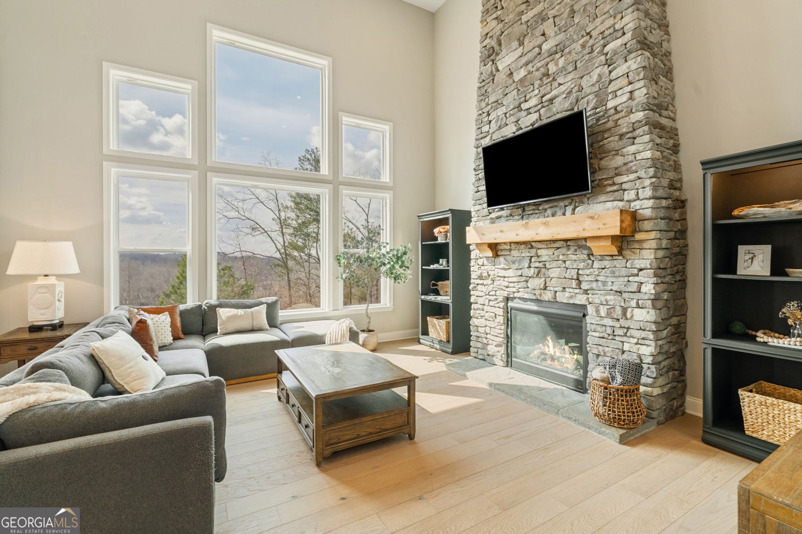 7830 Scenic Ridge Way Ball Ground - Photo 9