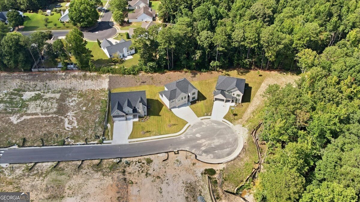2420 Reserve Manor Court Lawrenceville - Photo 68