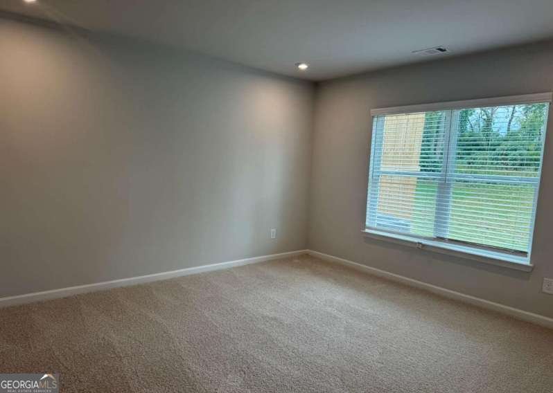 73 Silver Leaf Lane Dawsonville - Photo 8