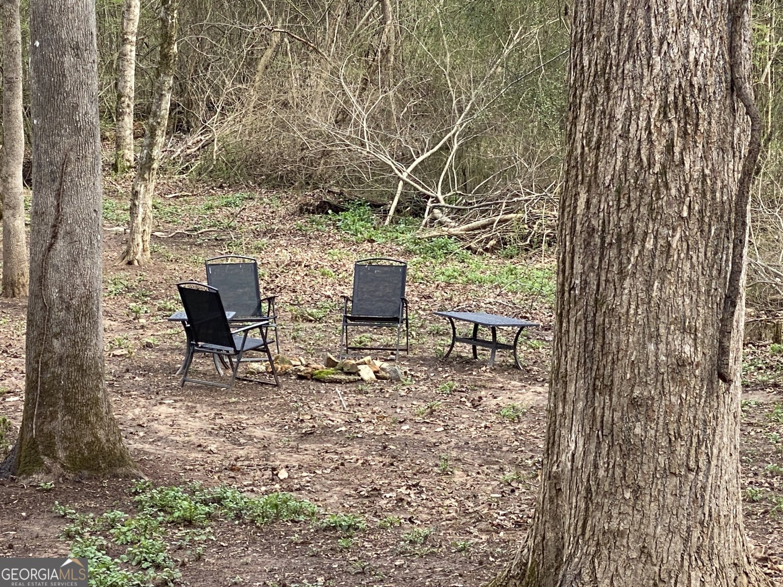 5176 Shotwell Street Woodstock - Photo 51