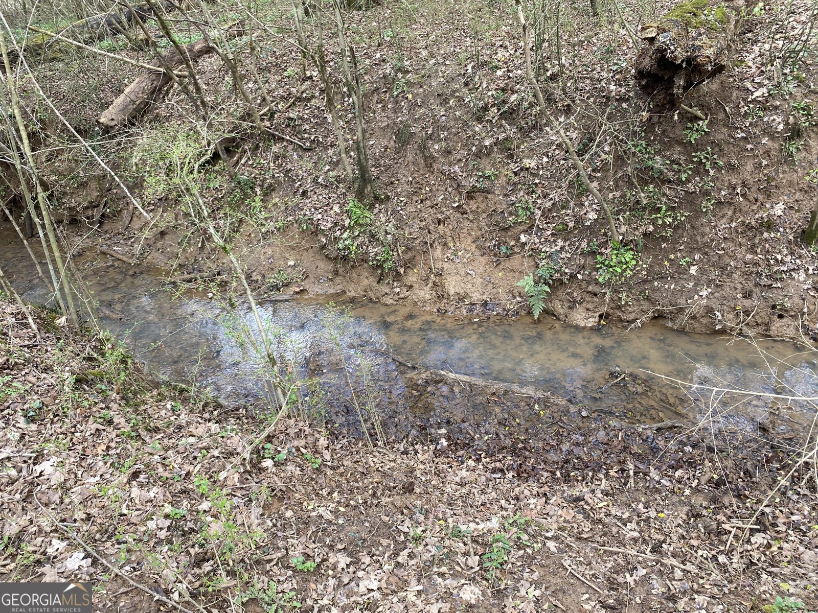 5176 Shotwell Street Woodstock - Photo 52