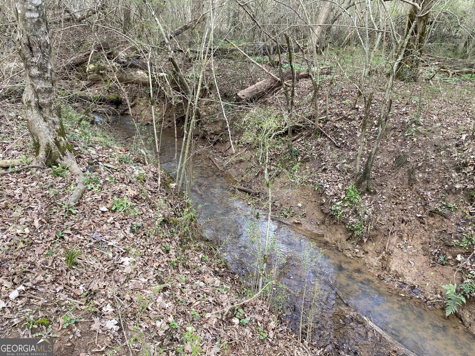 5176 Shotwell Street Woodstock - Photo 53