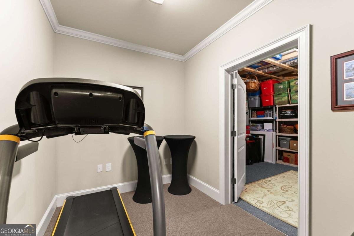 3265 Sable Ridge Drive Buford - Photo 49