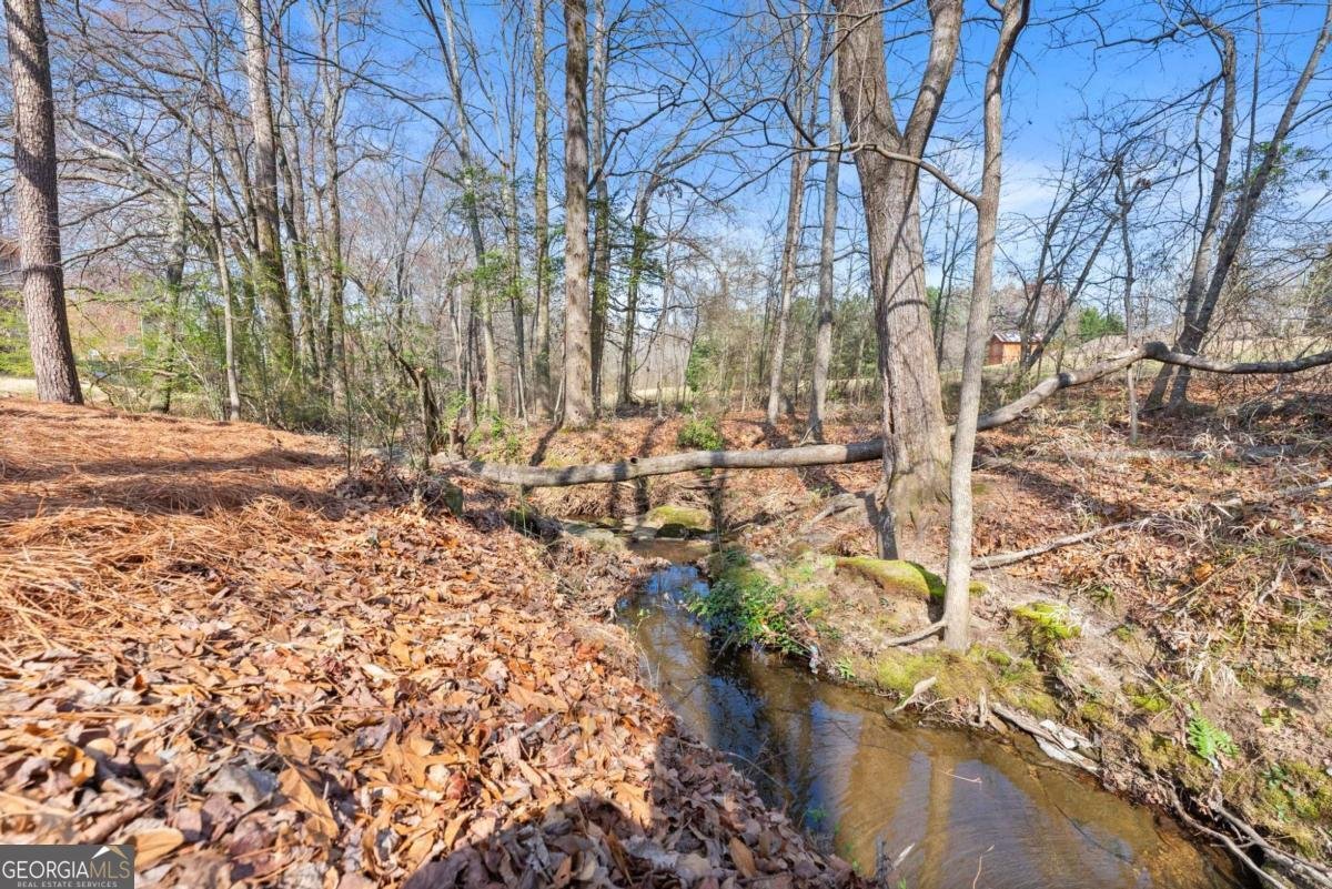 3265 Sable Ridge Drive Buford - Photo 69