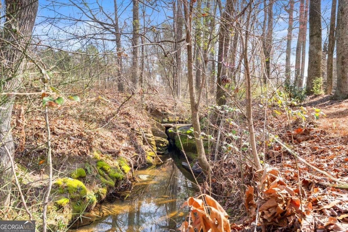 3265 Sable Ridge Drive Buford - Photo 70