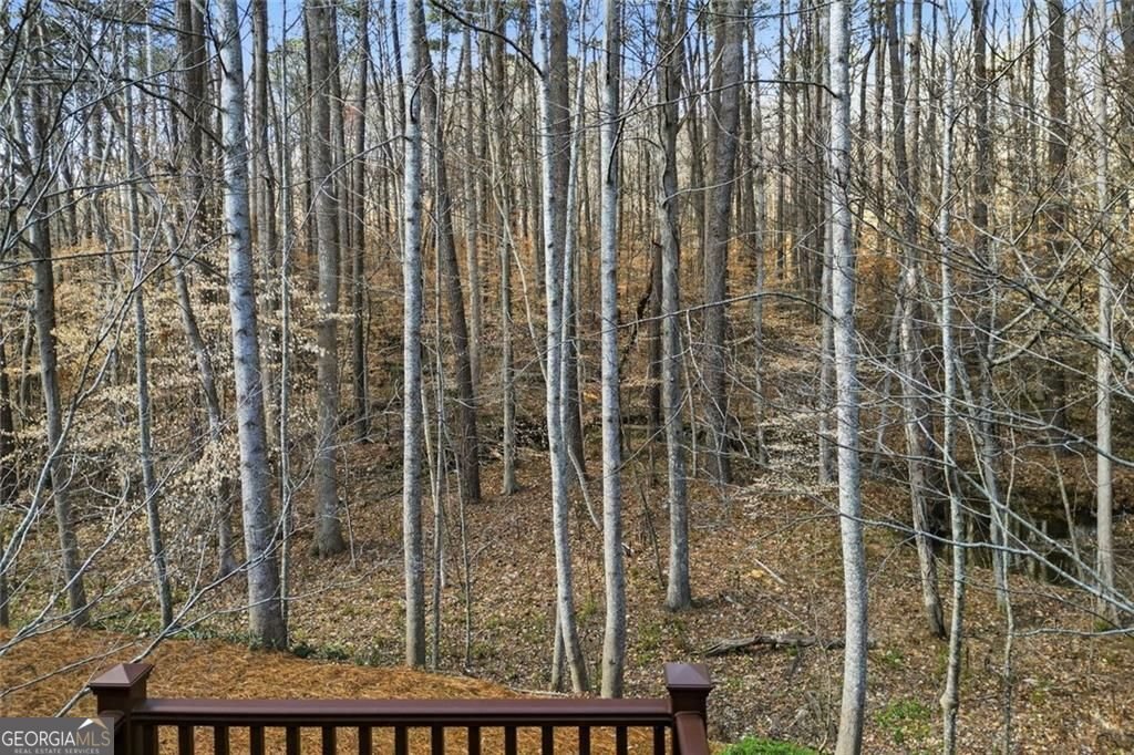 231 Villa Creek Parkway Canton - Photo 45