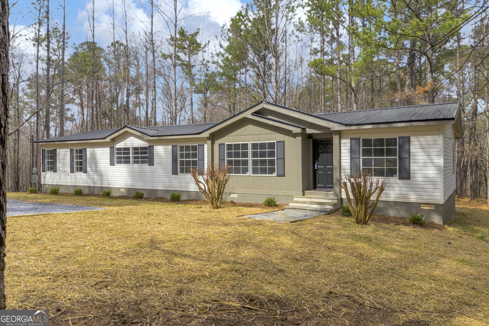 60 Tribble Bottoms Road Arnoldsville - Photo 1