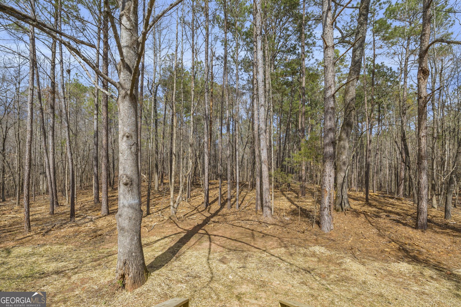 60 Tribble Bottoms Road Arnoldsville - Photo 45