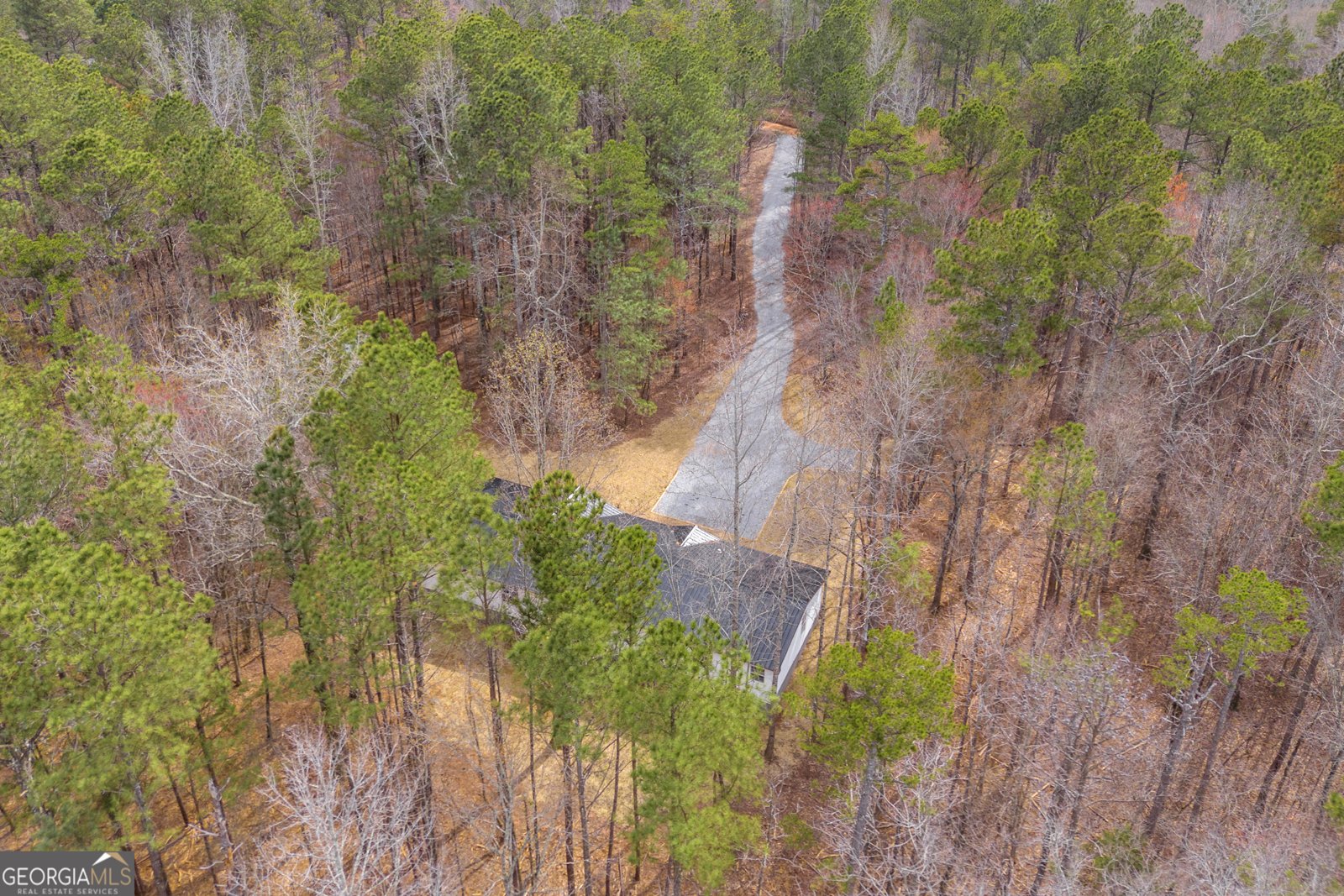 60 Tribble Bottoms Road Arnoldsville - Photo 49