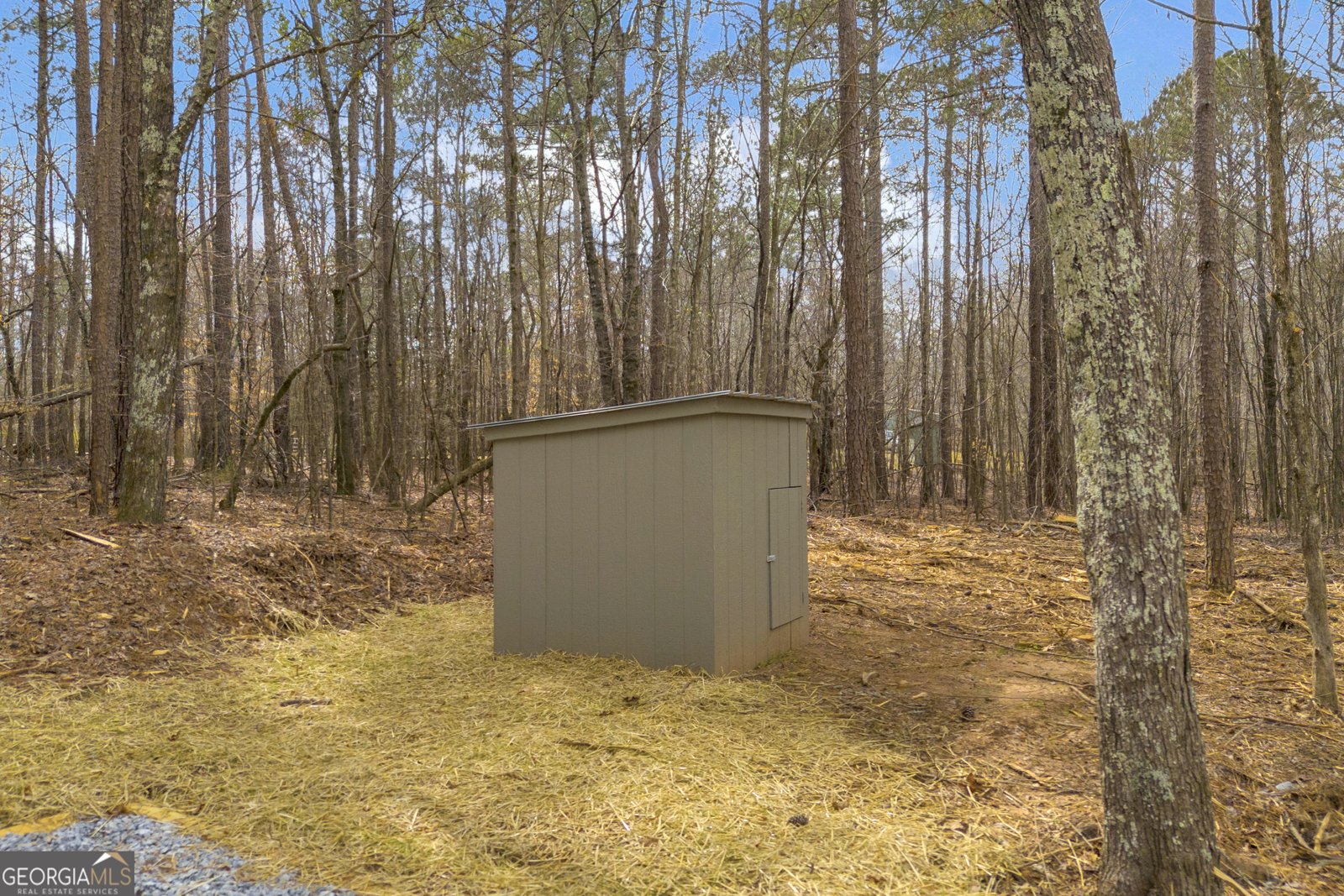 60 Tribble Bottoms Road Arnoldsville - Photo 51